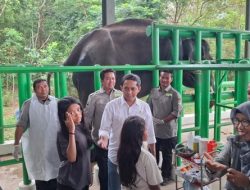 Menteri Kehutanan Perluas Area Penangkaran Gajah dan Badak di TN Way Kambas