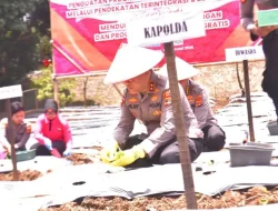 Polda Lampung luncurkan Program Pekarangan Pangan Lestari