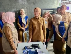 Wagub Lampung Jihan pantau posko kesehatan banjir pastikan warga terlayani