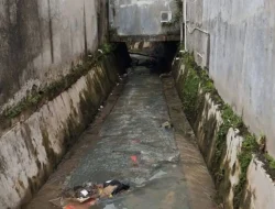Di Bandarlampung, kawasan resapan air tak boleh ada pembangunan