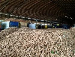 Gubernur Lampung cari solusi permasalahan sektor pertanian