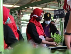 Pemkot Bandarlampung catat dua aduan PHK sejak Januari 2025