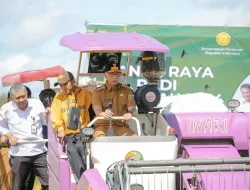 Gubernur Lampung panen raya padi serentak