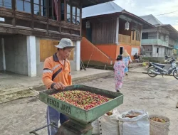 Gubernur Lampung sebut hilirisasi potensi di desa jadi fokus utama