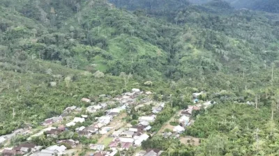 TNBBS sebut 7.000 hektare kawasan hutan konservasi Suoh telah dirambah