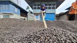 Pemprov Lampung sebut Koperasi Merah Putih wadah kelola potensi desa